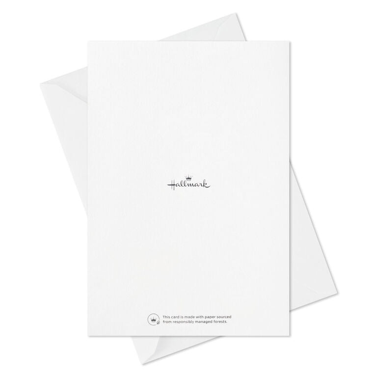 Hallmark Colorful Classic Boxed All-Occasion Cards Assortment, Pack Of 12