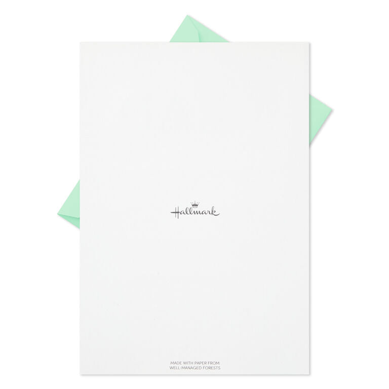 Hallmark Fern Border Stationery Set, 20 Sheets
