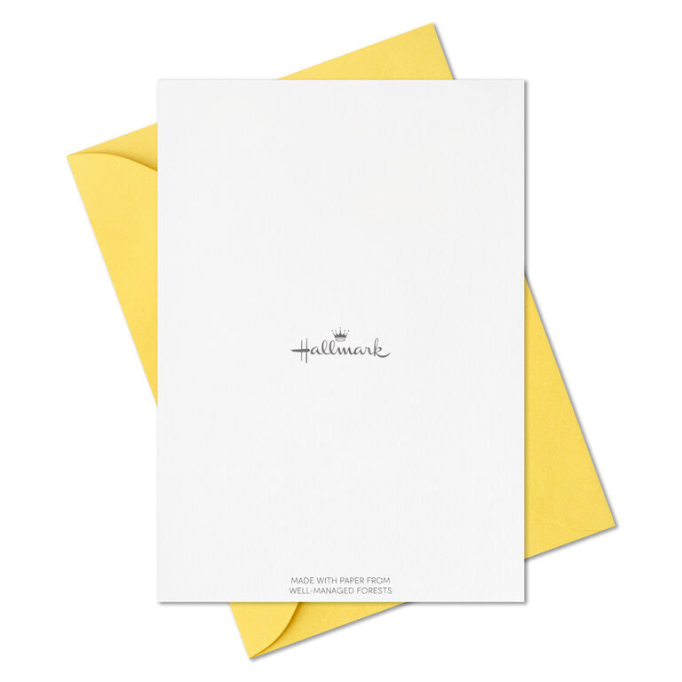 Hallmark Primary Colors Assorted Blank Thank-You Notes, Pack Of 48