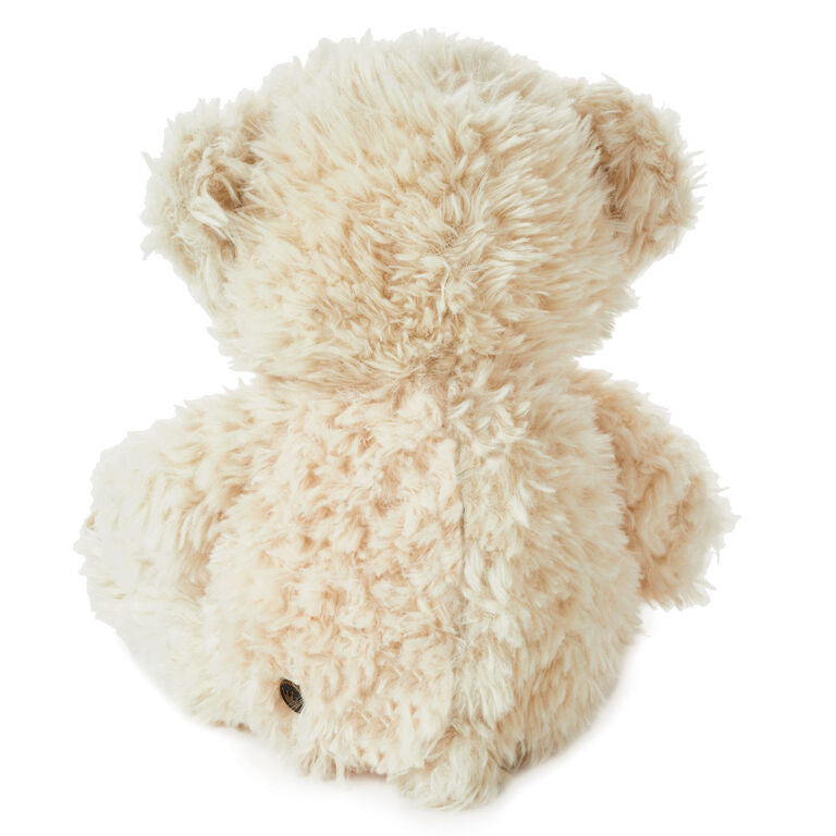 Hallmark Be There When You Can’t Recordable Bear Stuffed Animal, 10”