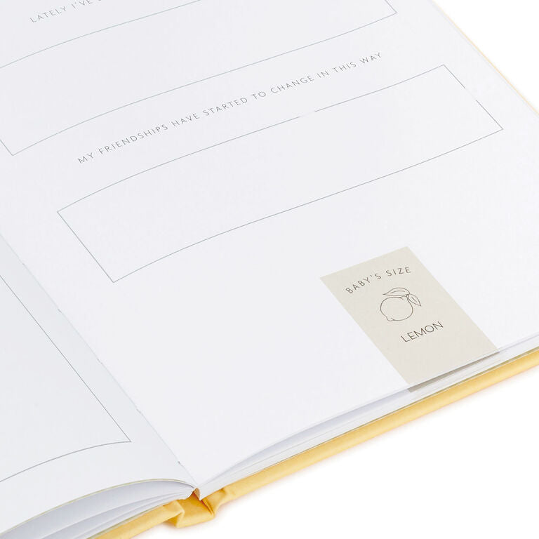 Hallmark While I Was Waiting Prompted Pregnancy Journal