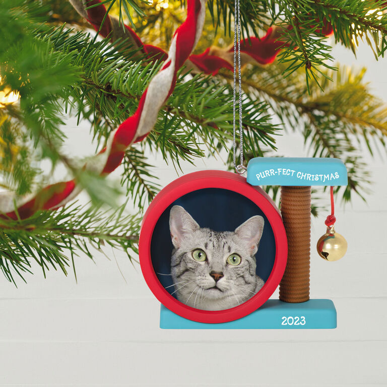 Hallmark Purr-fect Christmas 2023 Photo Frame Ornament