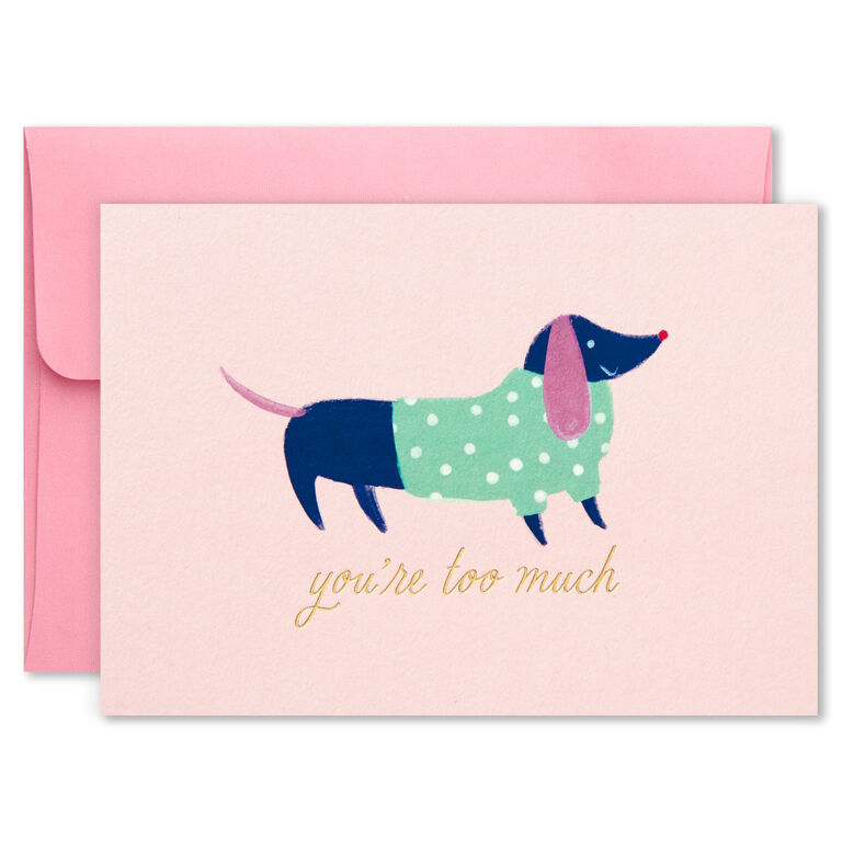 Hallmark Colorful And Fun Assorted Blank Note Cards, Box Of 24