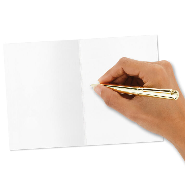 Hallmark Primary Colors Assorted Blank Thank-You Notes, Pack Of 48
