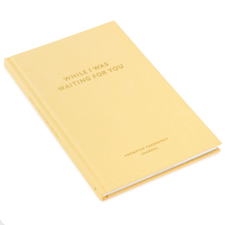 Hallmark While I Was Waiting Prompted Pregnancy Journal