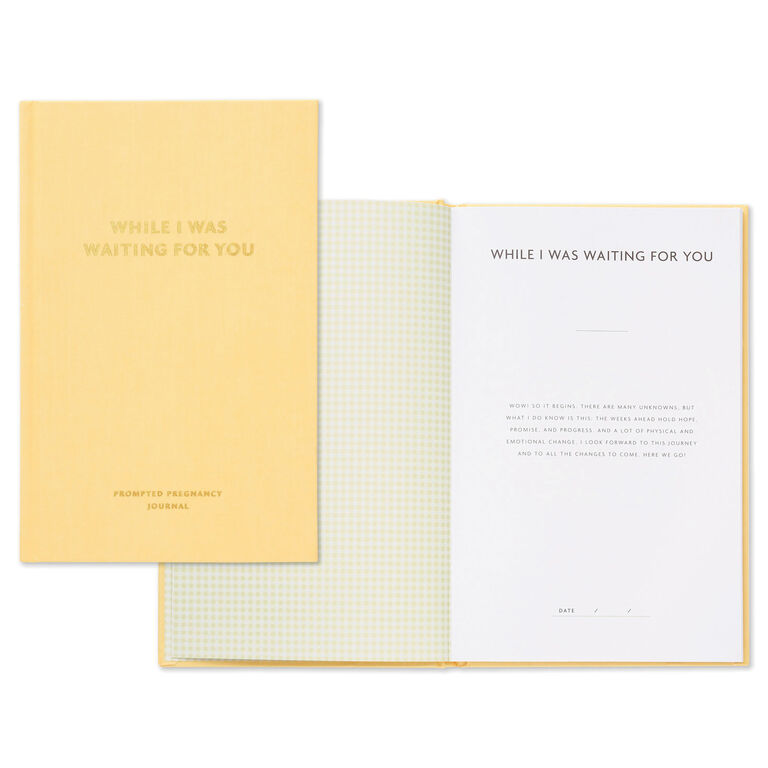 Hallmark While I Was Waiting Prompted Pregnancy Journal