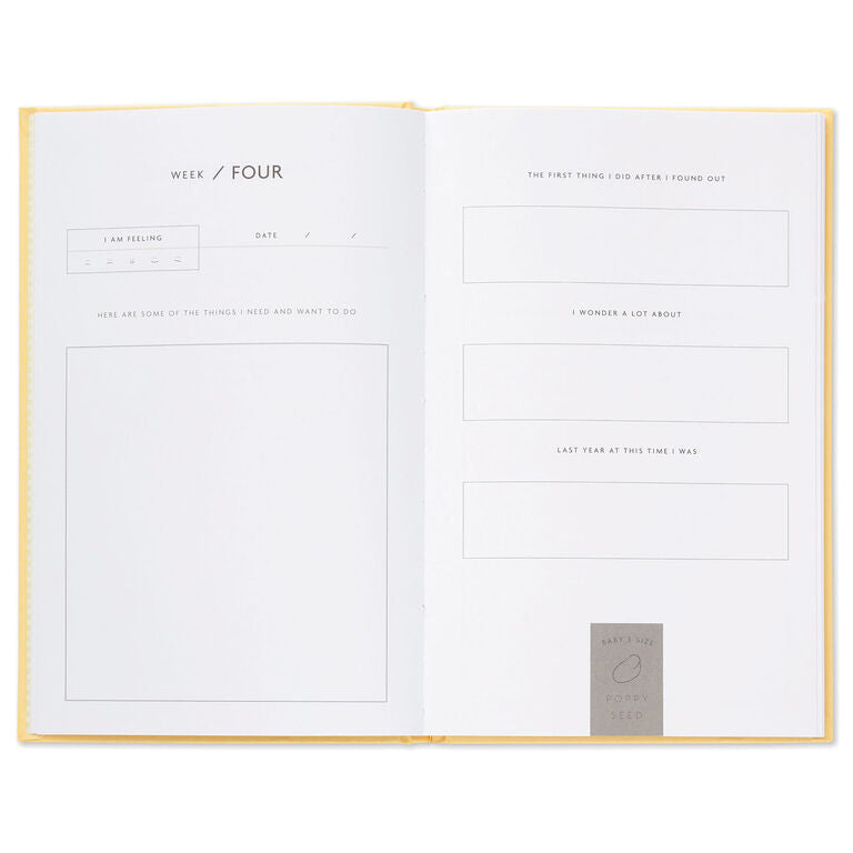 Hallmark While I Was Waiting Prompted Pregnancy Journal