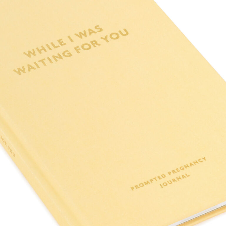 Hallmark While I Was Waiting Prompted Pregnancy Journal